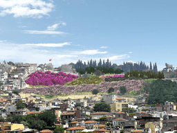 İzmir in Dağlarında Çiçekçer Açar