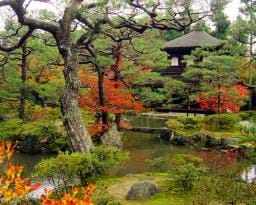 Kyoto, TBMM çevre komisyonunda kabul edildi