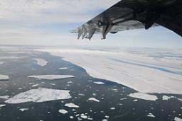 Kuzey Buz Denizi buzulundan 2 parça koptu !