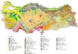 Bitki Coğrafyası haritası...Türkiye