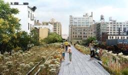 Tasarımın Gücü... High Line